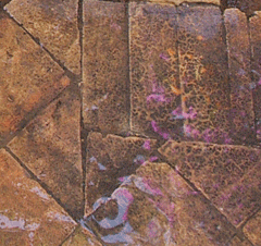 Protection des sols au Maroc.